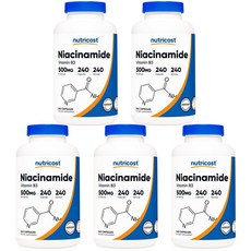 뉴트리코스트 니아신아마이드 비타민 B3 500mg 240정, 5개