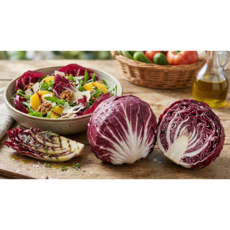 [부안로컬] 해풍맞은 라디치오(이탈리안 치커리), 1개, 3kg