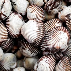 [밋앤밀] 당일채취 산지직송 벌교13번수산 선별 새꼬막(일반) 2kg, 1개