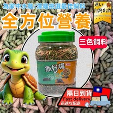 EIKA 烏龜飼料 全方位高營養澤龜精緻飼料, 1個, 綠色烏龜飼料1kg(補充包
