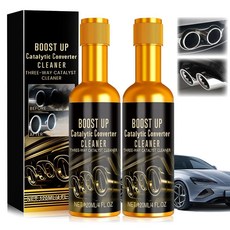 BAGISTES 촉매 컨버터 클리너 키트 2개 클리너 가스 및 디젤 자동차용 연료 시스템 트리트먼트 오일 193065, BAGISTES 촉매 컨버터 클리너 키트 2개, 클리너