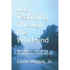 (영문도서)Job Testifying Through the Whirlwind: A Black Mystical-Pastoral Journey through... Paperback, Independently Published, English, 9798241122698