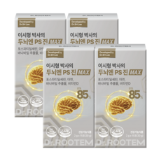 닥터루템 이시형박사의 두뇌엔 PS진 맥스 포스파티딜세린 분말, 15회분, 4박스