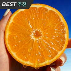 [2주만특가] A급고당도 꿀뚝뚝 리키네 하우스감귤, 1박스, 1kg