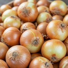 전남 무안 흰 양파, 1개, 흰 양파  5kg 중대혼합
