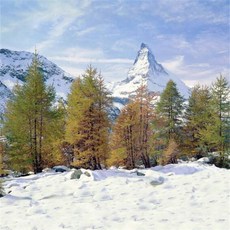 스튜디오배경지 유튜브 설산 설경 촬영 프레임, 1.5x2m, 1개, 핑크레드