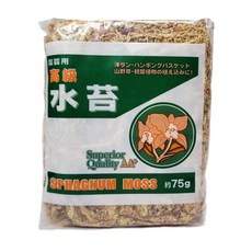 수태 고급 천연건조압축 이끼 토피어리 칠레산 75g, 1개