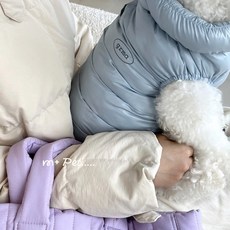 가을 겨울용 강아지 옷 두꺼운 보온 견인 가능 소형견 전용 패딩복, 1개, 푸른색