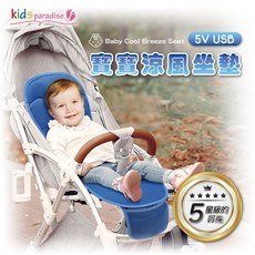 USB寶寶椅涼風座墊AI65035P SD，透氣涼爽，USB供電，輕巧便攜，安全舒適