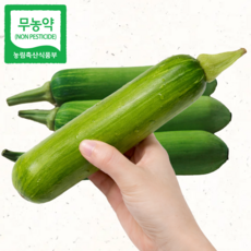 하늘농부유기농 애호박 국내산 친환경 인큐애호박 무농약이상, 5개, 300g