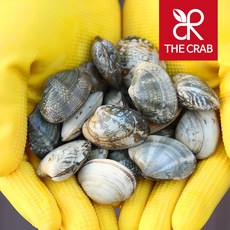 제철 바지락 1kg 해감, 1개, 자숙 바지락살 200g (냉동)