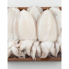 손질 갑오징어 급냉 800g 3-5마리내외, 1개