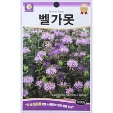 벨가못 1 000립 다농 26년 허브씨앗