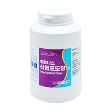 휘트니스 식염포도당 정 500정, 1개, 1000정
