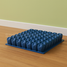 공기주입 에어방석 욕창예방방석 노인 복지용구 급여대상품목, 6%