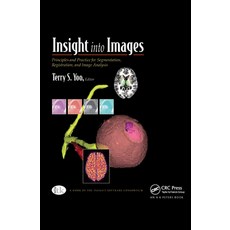 (영문도서) Insight Into Images: Principles and Practice for Segmentation Registration and Image Analysis Hardcover, A K PETERS, English, 9781568812175