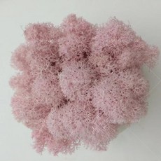 인공 녹색 식물 영원한 생명 DIY 잔디 홈 룸 미니 가짜 50g, 10)10g, Light Pink