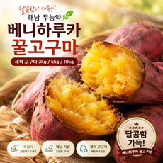 무농약 해남 베니하루카 세척 꿀고구마 한입 특상 3kg 5kg 10kg, 꿀고구마 3kg(한입), 1개, 3kg (한입)