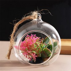 신라Pick 도마뱀 은신처 투명볼 5쌍 크레용품, 10cm