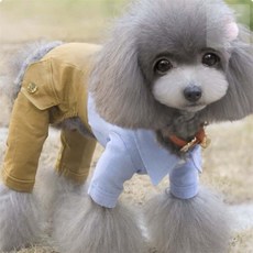 조은하나 강아지 수영복 블루, XL