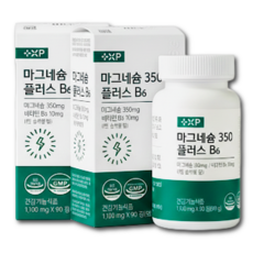 흡수율 좋은 약 국 근육 안면 다리에 쥐날때 먹는 마그네슘, 1세트, 90정