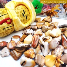 花生木化石滾石 Peanut Wood 接地紮根穩定情緒防禦負面能量