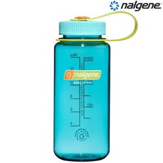 Nalgene 500cc 寬嘴水壺/運動水瓶/寬口瓶 Tritan Sustain 美國製, 鱒魚綠, 1個