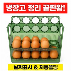 범용상사 자동오픈 계란트레이 냉장고 계란정리함 에그 자동 플립 계란 보관함, 그린
