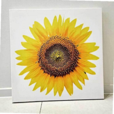 인테리어사진 돈 들어오는 해바라기 큰 꽃송이 액자 돈 KGWE8ABDD, 본상품