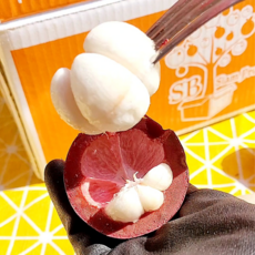 [특상품 선별] 비비마켓 과일의여왕 프리미엄 태국산 망고스틴, 1박스, 0.5kg (5~7과)