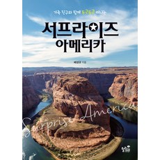 서프라이즈 아메리카:가족 친구들과 두근두근 떠나는, 힐링21, 배성규 저