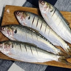 국내산 급냉 전어, 1개, 3kg