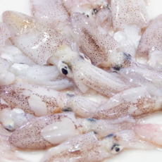 횟감용 호래기 꼴뚜기 당일조업 산지직송, 1개, 2kg