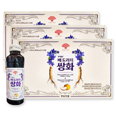 동화약품 부채표 배 도라지 쌍화, 1개, 120ml