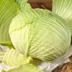 달큰하고 아삭한 제주 양배추, 1박스, 10kg
