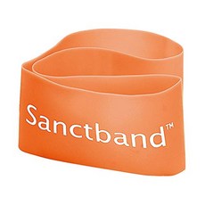 Sanctband 環狀拉力帶 運動用品 肌力訓練 彈力帶 健身 瑜珈 輔助訓練, 紫色, 1個