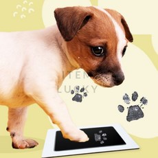 ITEM LUCKY 강아지 발도장 스탬프 펫발도장, 검