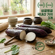 싱글벙글 최상급 국내산 가지 3개 (가락시장 당일선별), 430g 내외