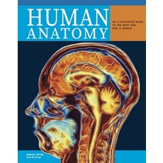 (영문도서) Human Anatomy Hardcover, Amber Books, English, 9781838864880