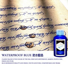 RAYRAYGO 鯨魚系列 防水鋼筆墨水, 1個, 藍色-防水墨水