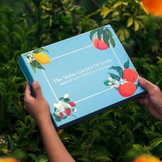 베다스 차 선물 세트 | 다양한 티백 상자 크리스마스 수공예 면봉에 담긴 12가지 이국적인 허브 블렌드 순 48봉지 엄마를 위한, Garden Of Fruits