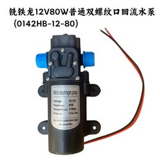 다이어램프 분사기 고압 워터 12V60W 더블 펌프 세차건 24V, G. 12V80W 일반 나사 포트 오버플로우, 1개