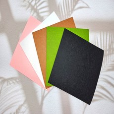 도마뱀 사육장 바닥재 펠트지바닥재 아크릴사육장 크레스티드게코 파충류용품 파충류 하우스 20x20 30x30사이즈, 1개, 블랙