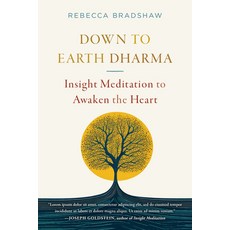 (영문도서) Down to Earth Dharma: Insight Meditation to Awaken the Heart Paperback, Shambhala, English, 9781645473213