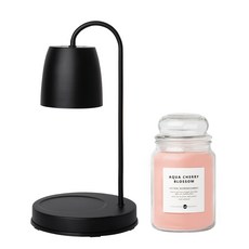 소이캔들 라지 567 g 문나잇 캔들워머 세트 (국내산 밝기조절), 02 화이트, 04 프렌치 라벤더