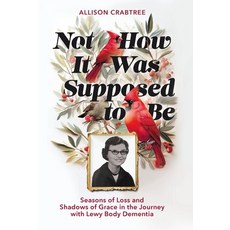 (영문도서)Not How It Was Supposed to Be: Seasons of Loss and Shadows of Grace in the Journ... Hardcover, Streamline Books, English, 9798891652484