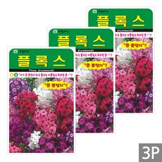 세인화분 플록스 300립 - 야생화 들꽃 꽃 씨 씨앗 키큰 꽃잔디, 3개