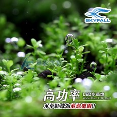 【AC草影】SKYFALL 天賞 高功率 LED水草燈（90cm）【一個】高演色性 ADA光譜 通過安規認證 LED燈, 1個