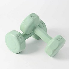 컬러 육각 아령 그린 3kg 운동 헬스 jeo4+1fTr, 본상품