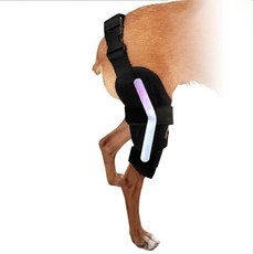 강아지 다리 보호대 무릎 예방 커버 개 뒷다리 관절 지지대 족저 양쪽에 특수 스프링 내장, 오른쪽 다리 / 내장형 금속 바 2개, 사이즈 2 허벅지 둘레 10-14, 종아리 둘레 5-9